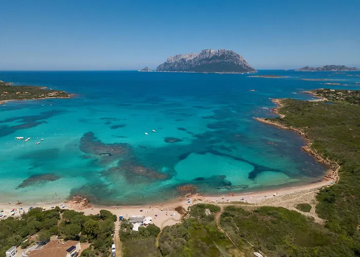 Gifa By Interhome Ольбія